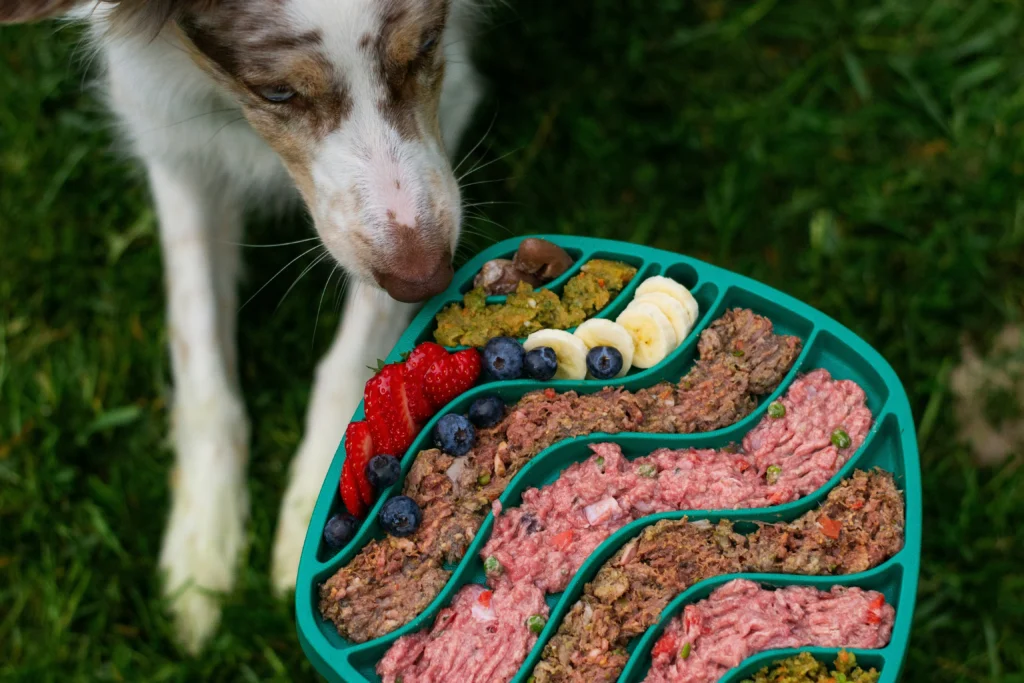 homemade dog food recipes​