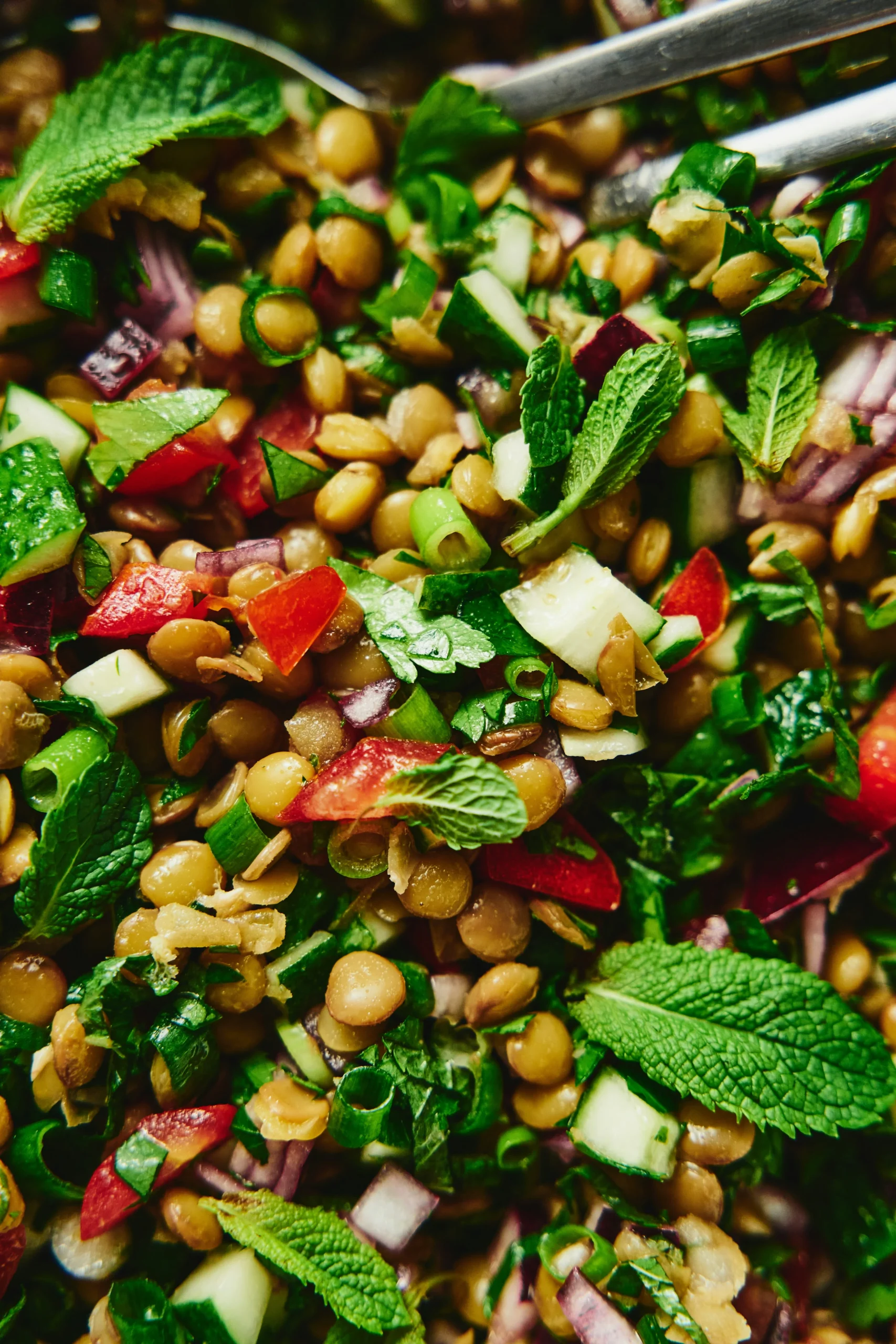 dense bean salad recipe